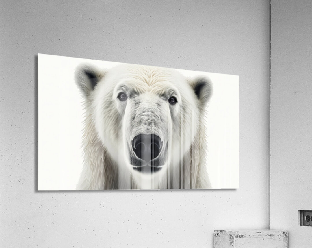 Polar Bear Up Close Acrylic Print