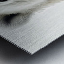 Polar Bear Up Close Metal print